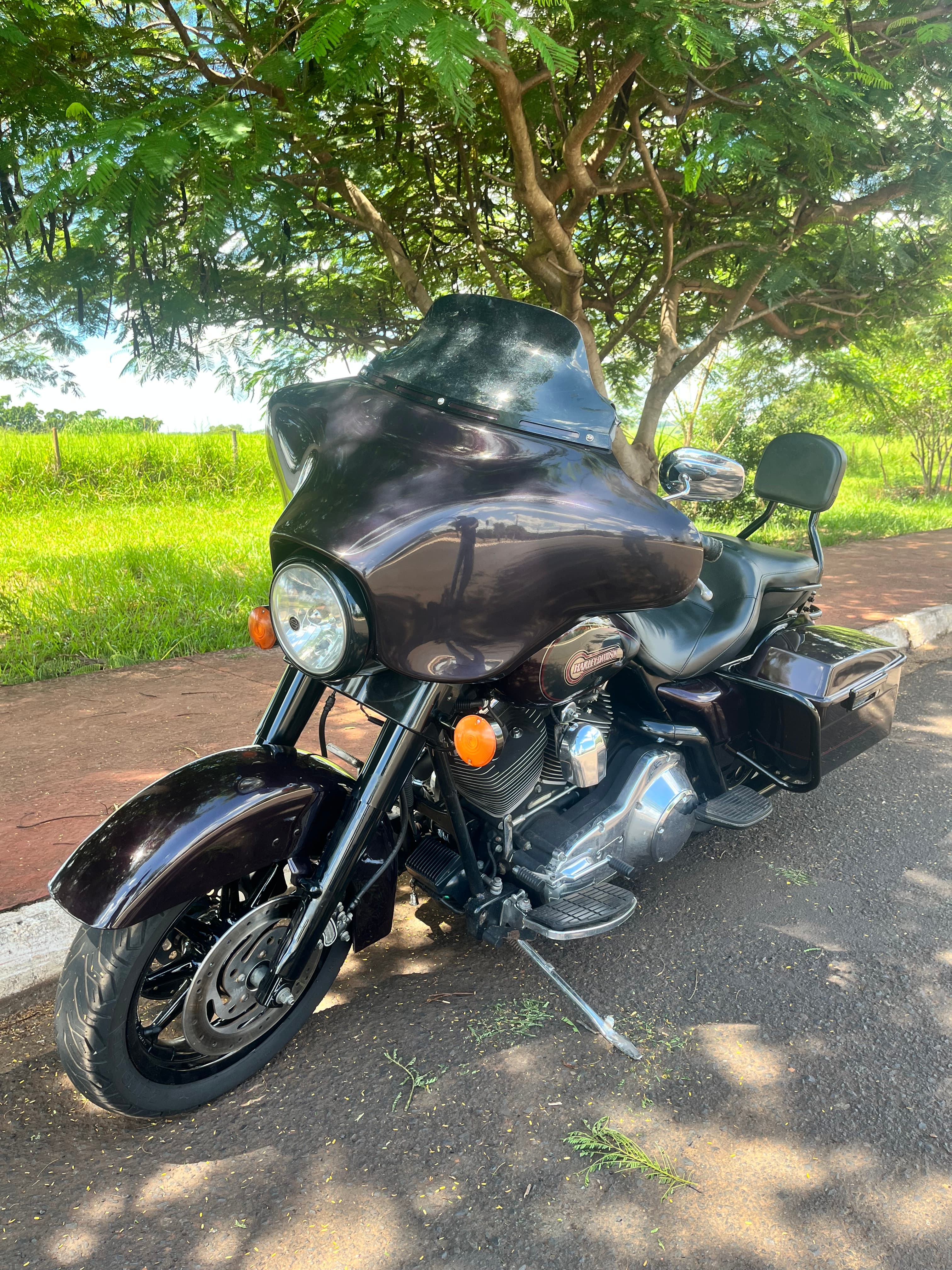 Electra Glide
