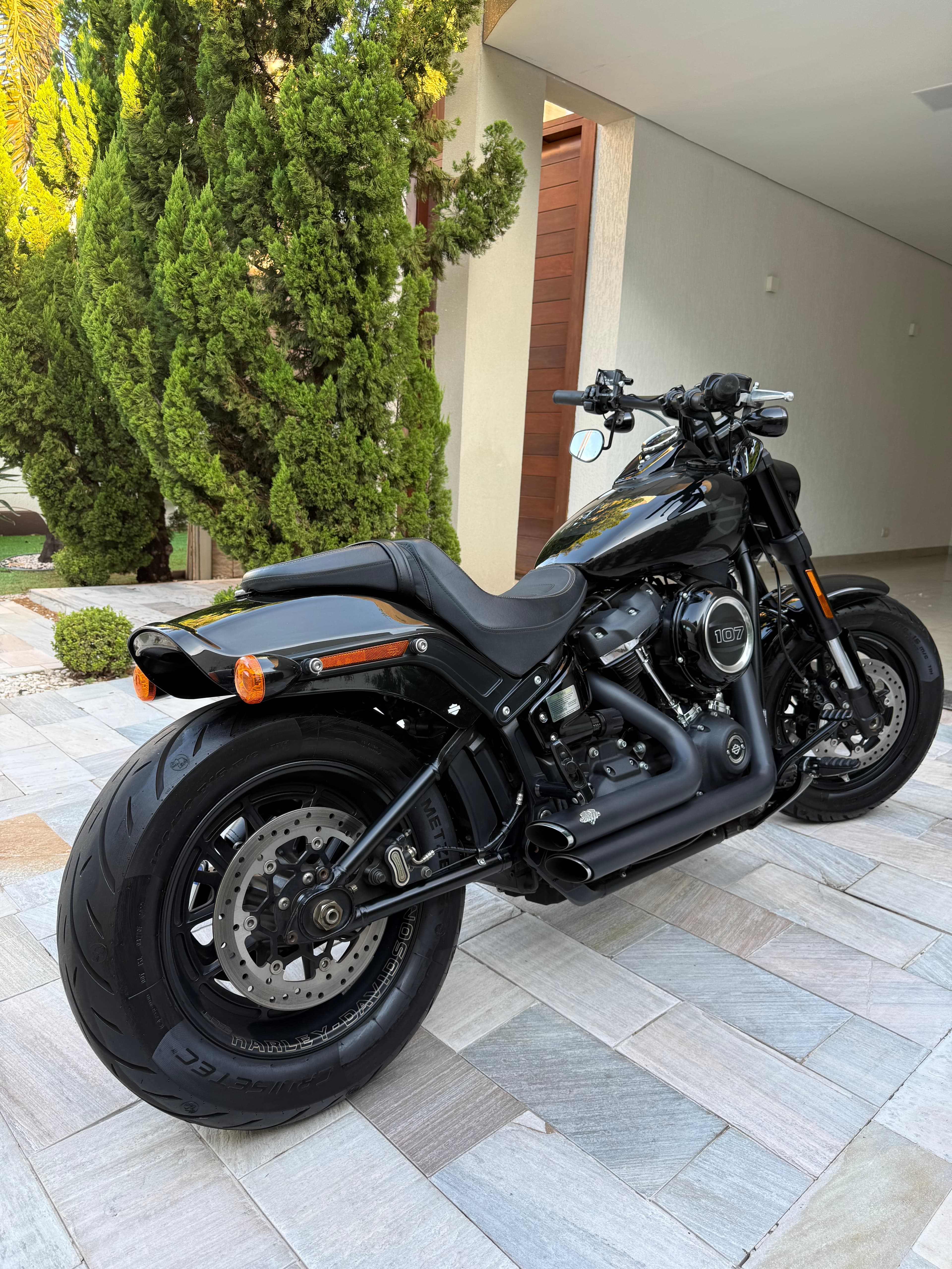 Fat Bob
