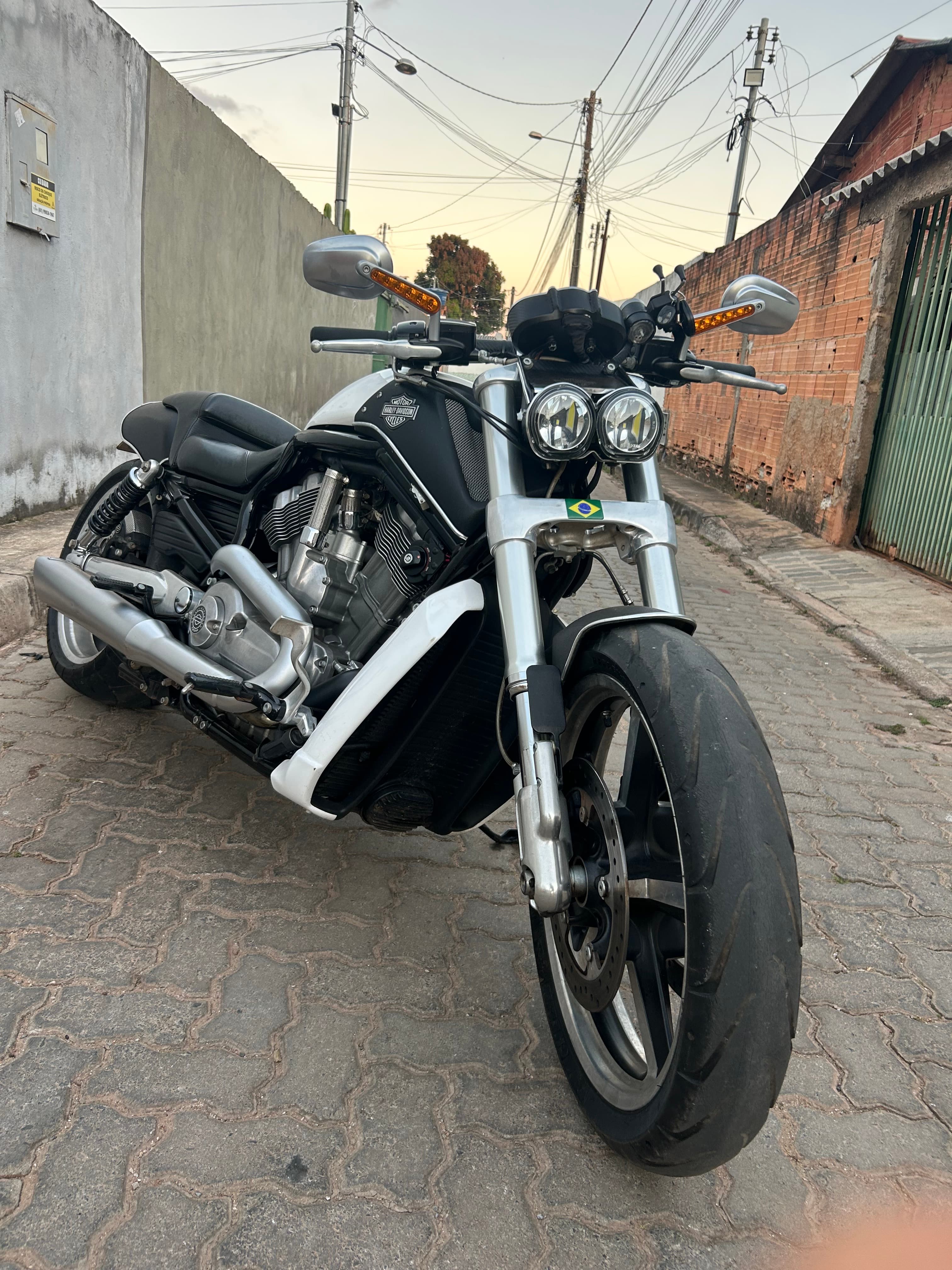 V-Rod Muscle